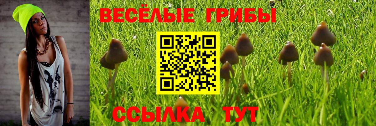 Александров  Псилоцибиновые грибы ЛСД  Вход с VPN 