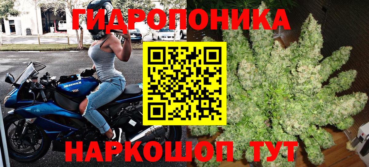 Марихуана Ganja  Марихуана White Widow  Каннабис ГИДРОПОН  Александров  Вход с VPN 